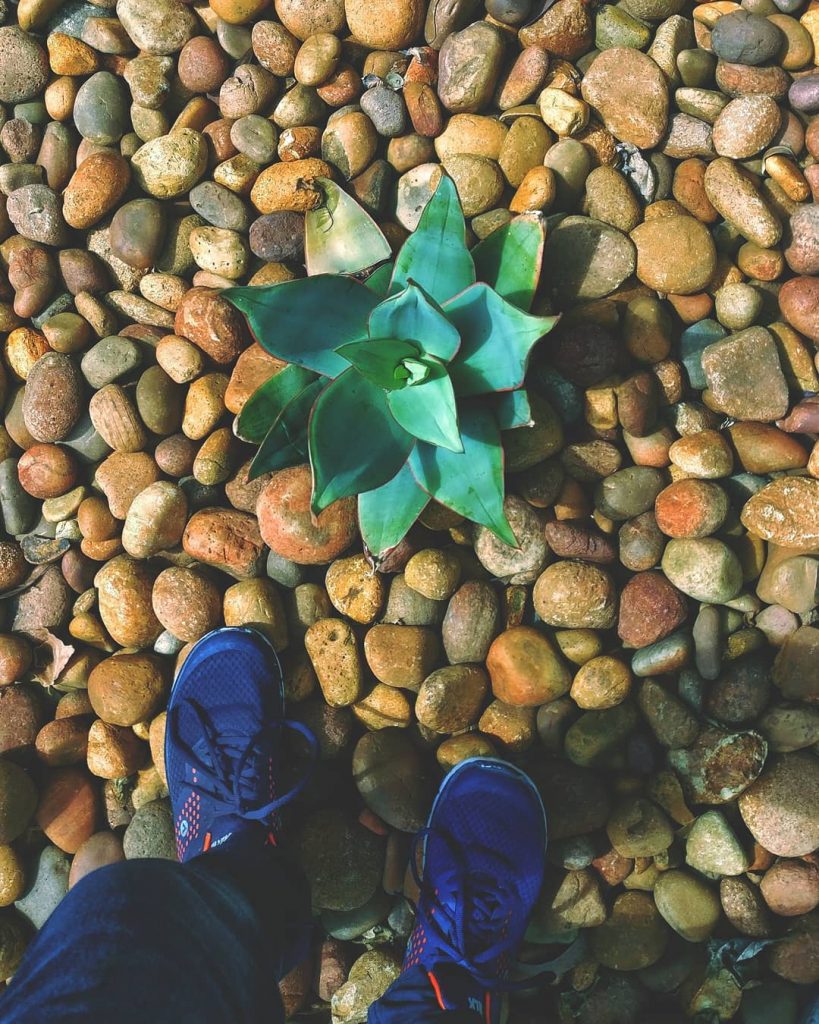 There is something of the marvelous in all things of nature. ◾◾◾◾◾◾◾◾◾◾◾◾◾◾◾ Sony Pictures&hellip;