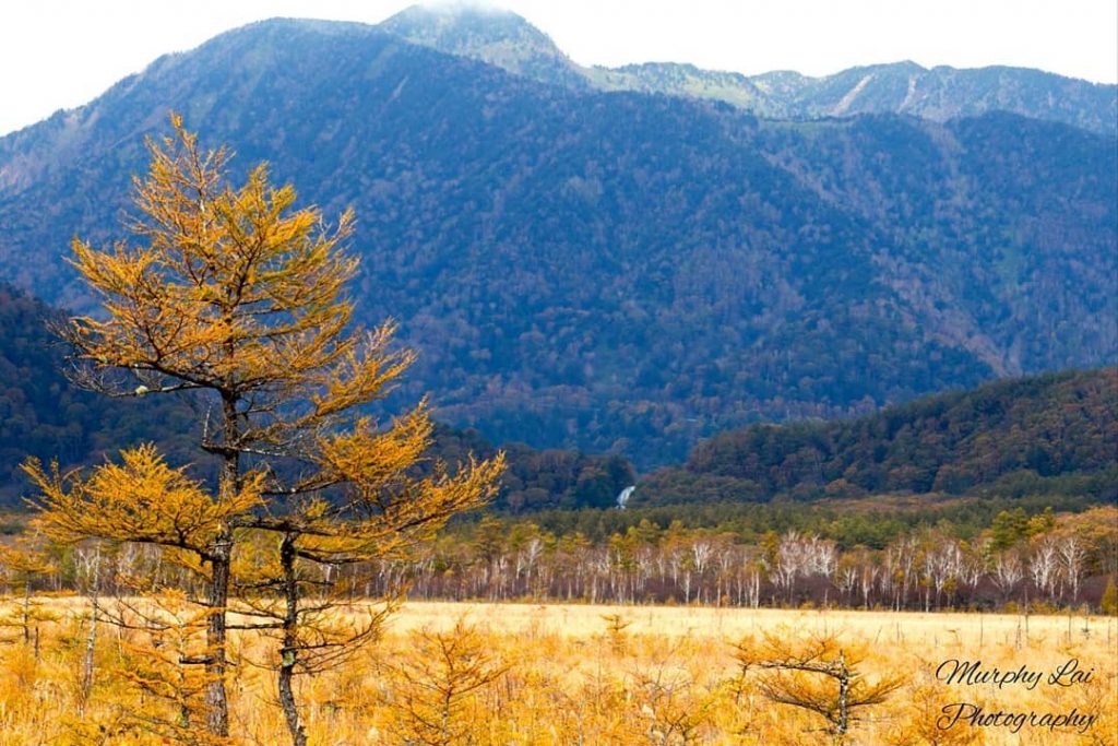 One of the shot I like the most at Senjogahara, Nikko. Do you like&hellip;