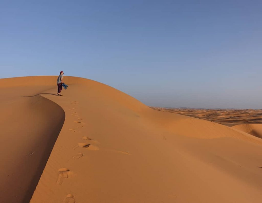 아침에 알람소리에 힘겹게 일어나면서 이보다 더 끔찍한건 곧 오게될 더 추운날씨에도 알람소리에 맞춰 이불밖으로&hellip;