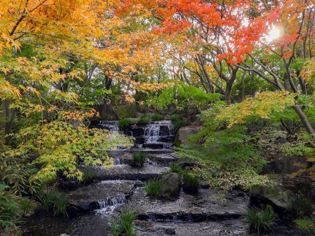 Himeji * * * * * * * * * * * #写真撮ってる人と繋がりたい #写真好きな人と繋がりたい&hellip;