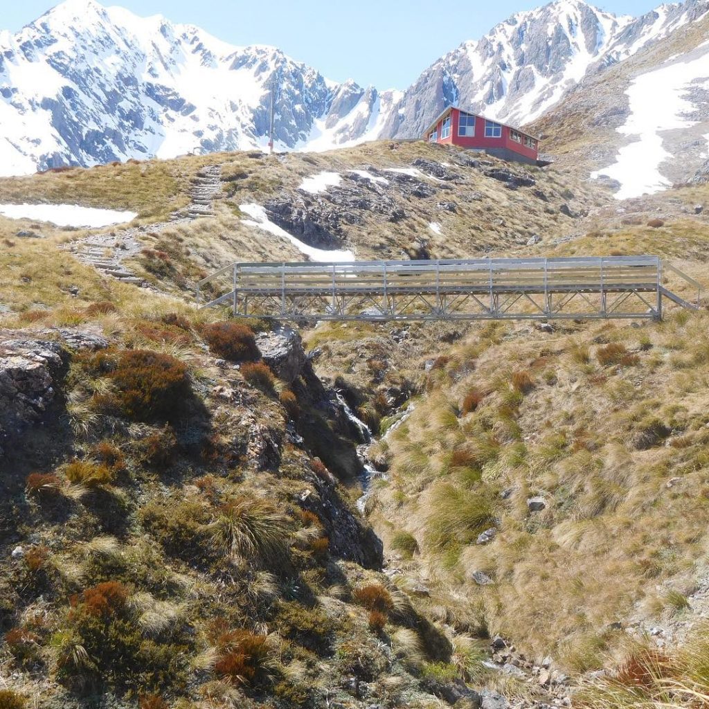 Happy Monday Kiwis!!