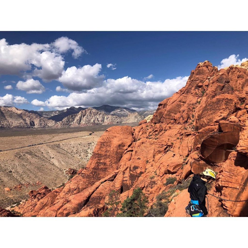 Ugh this lovely life bringing the weird and wonderful back to life in me.&hellip;