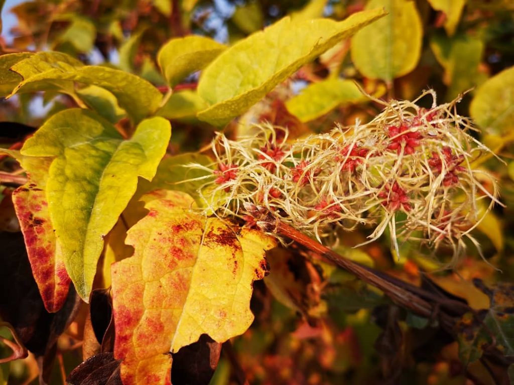 #wien #topviennaphoto #wienstagram #bnesimppl • • #nature #toptags #nature_lovers #nature_brilliance #ff_nature #naturephotography #natureshots #outdoors&hellip;