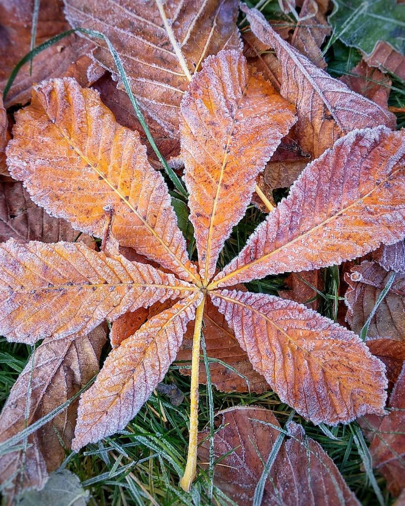 Осень и зима в одном фото Autumn and winter in one pic . .&hellip;