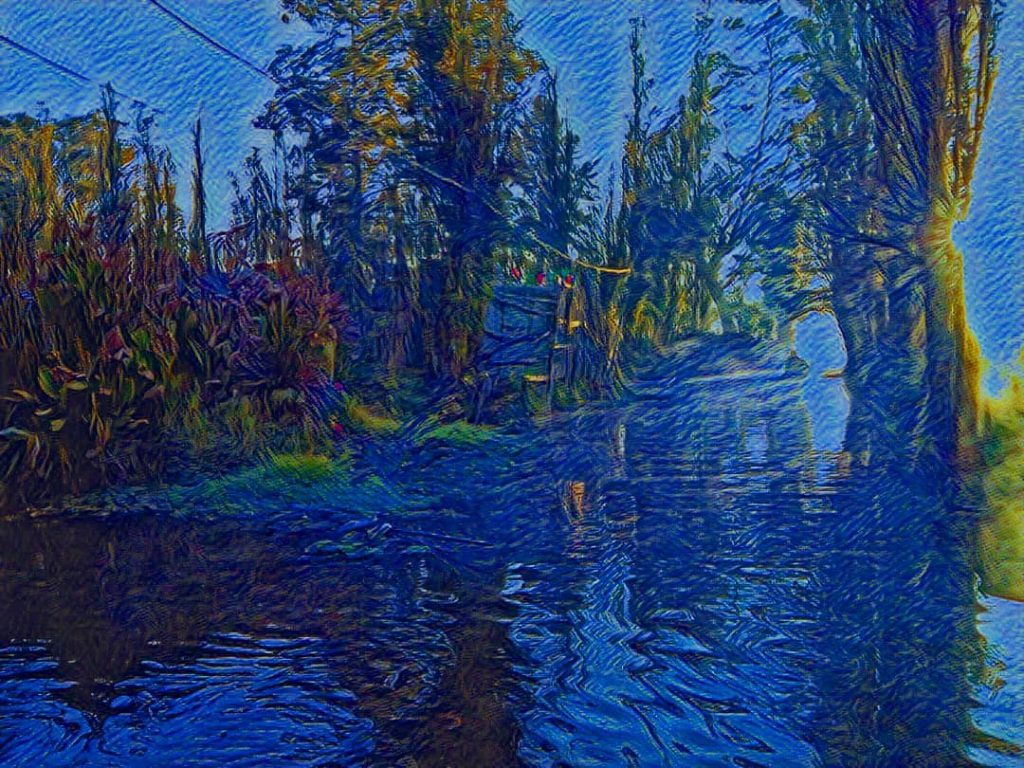 Perspectivas Xochimilcas: Amaneceres . . . . . . #xochimilco_cdmx #cdmx_oficial #photocartoon #capitalchilango #mextagram&hellip;