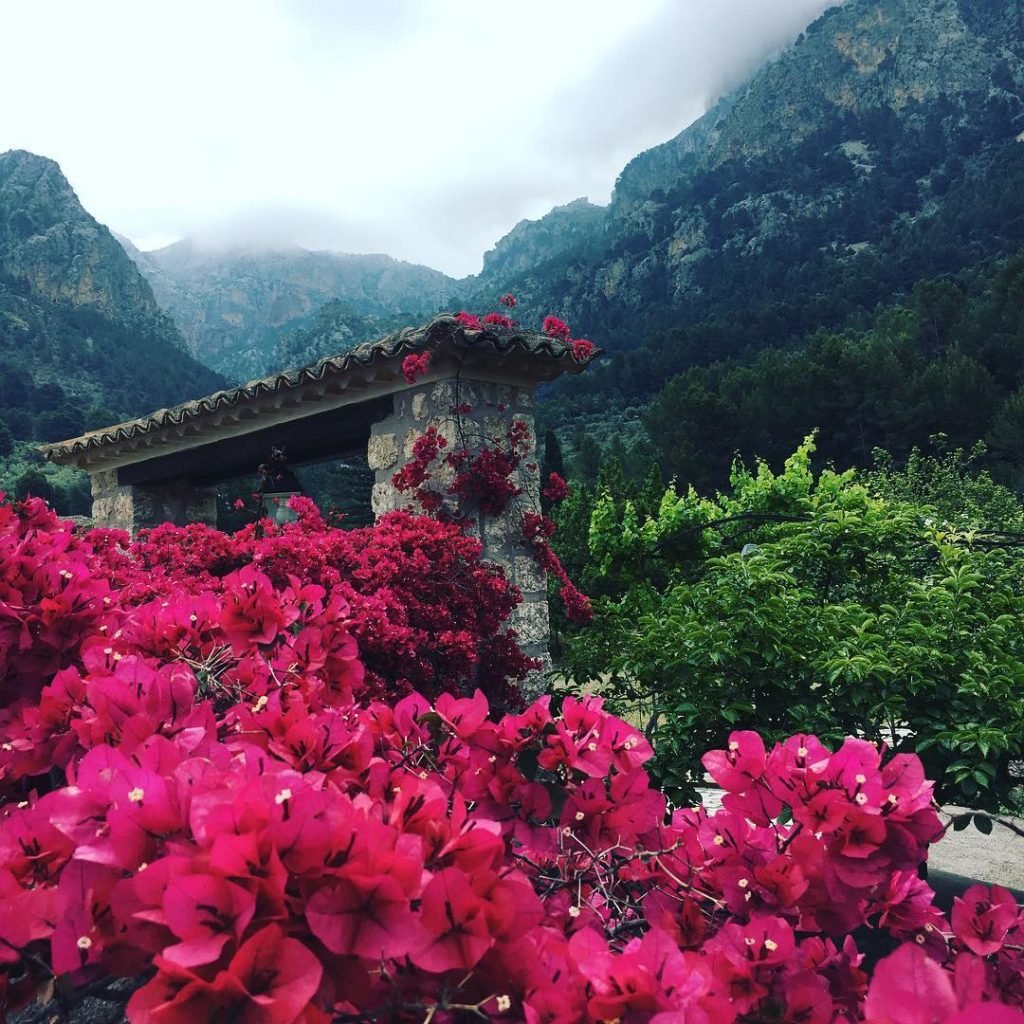 I could never tire of these views #letsgoeverywhere #mountains #lonelyplanet #views #naturebackdrops #potd #travelblogger…