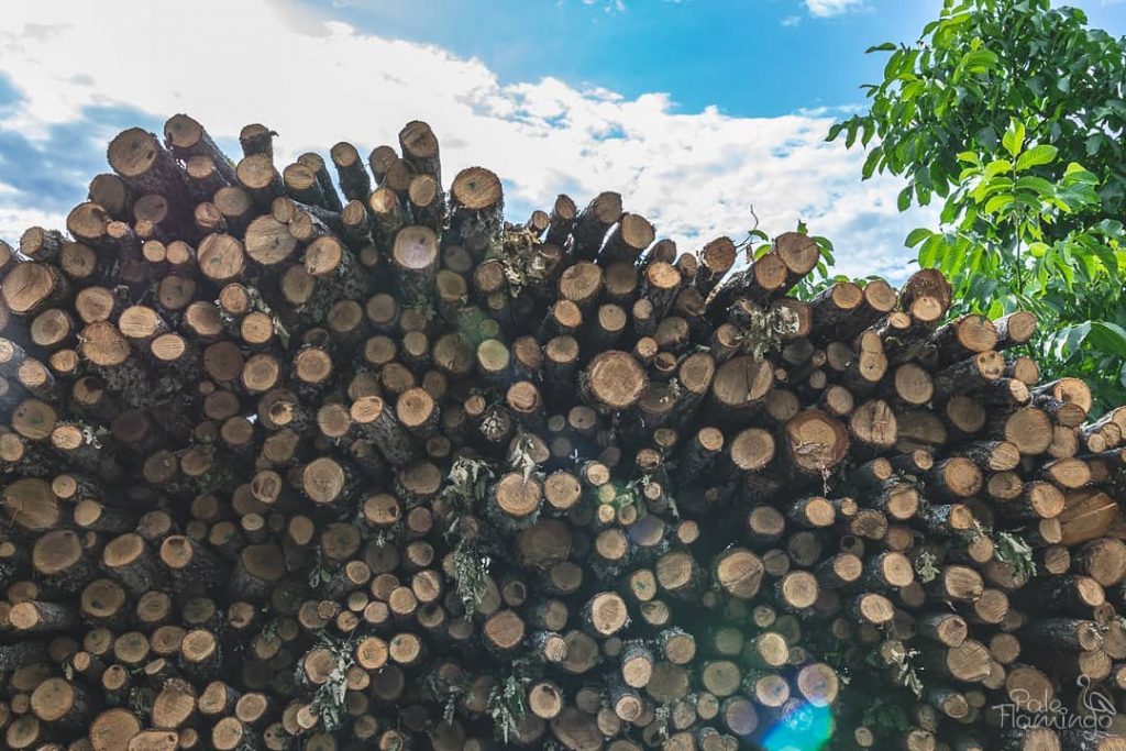 During one of our guided hikes, our guide told me that there’s no&hellip;