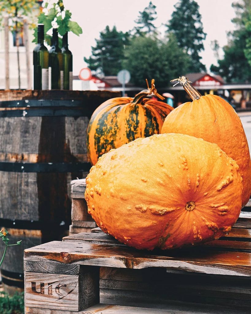 Осенних карапузов вам в ленту Halloween is coming soon . . . . .…