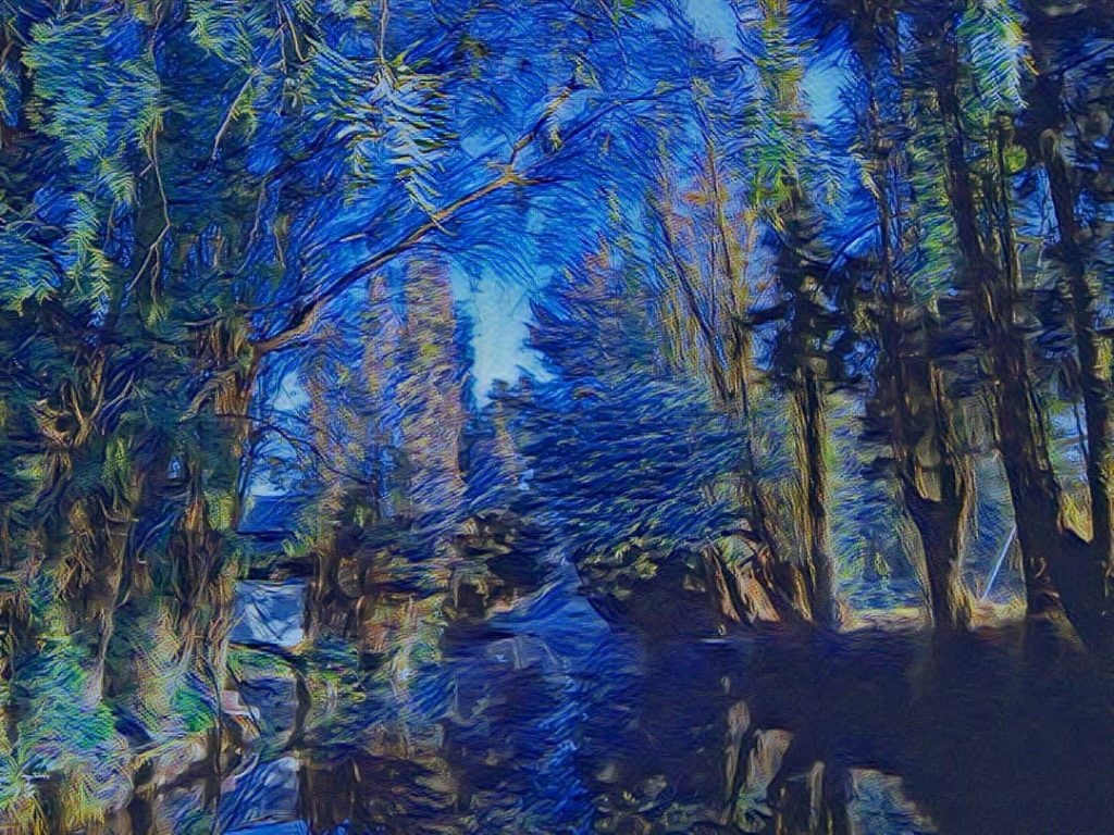 Perspectivas Xochimilcas: Panoramas entrelazados . . . . . . #xochimilco_cdmx #cdmx_oficial #instanature #capitalchilango&hellip;