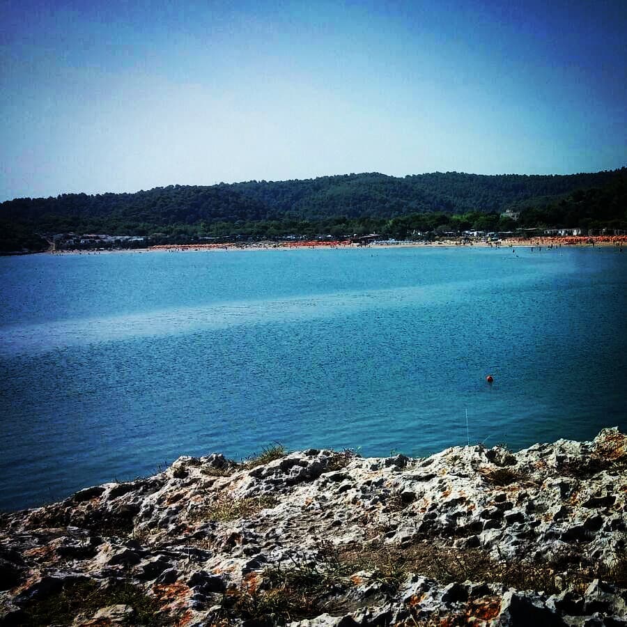 Go where you feel most alive