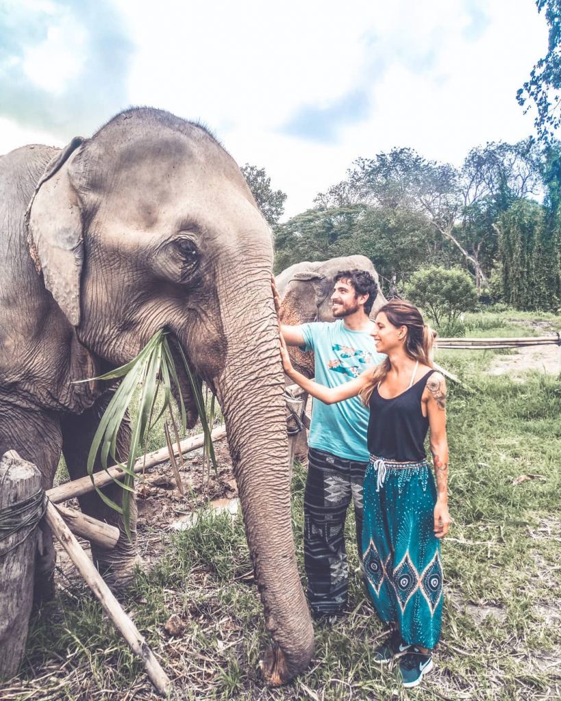 Hoy mi señor marido me ha chillado en sueños: “Que bieeeen, que bien estoy!!”&hellip;