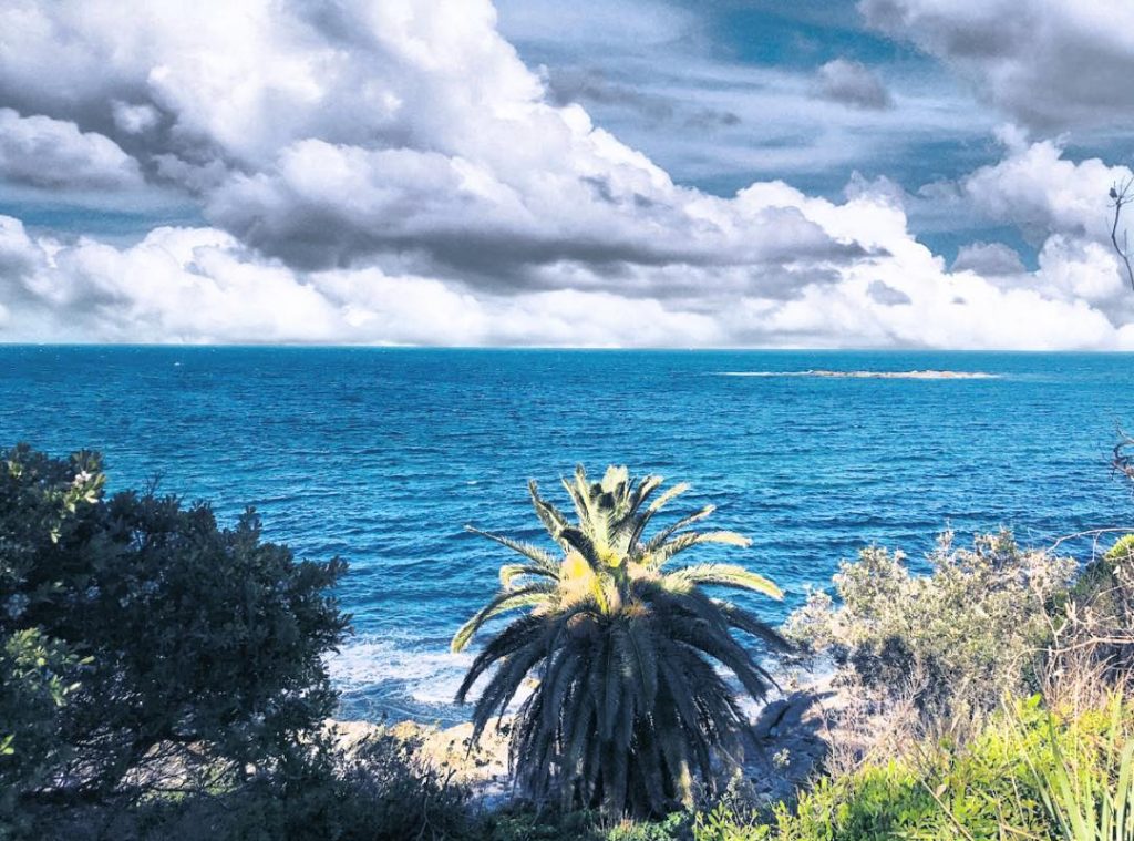 #chillvibes #serene #nature #naturelove #beachlife #landscape #landscapephotography #sydney #sydneylife #exploring #ilovesydney #lifeofadventure #wandering #wanderlust&hellip;