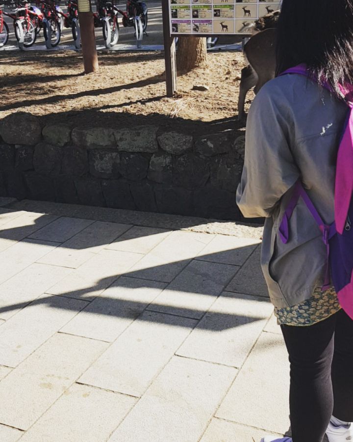 Bowing to the adorable #Nara deer and trying to feed as many of them&hellip;