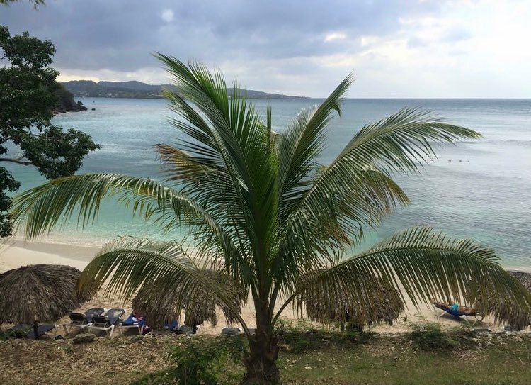 Lucea Tip – A few resorts have a sand tiki bar as well as&hellip;
