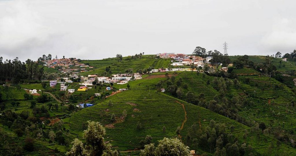 Munnar #nature_seekers #travelgram #naturelovers #natureshooters #nature_up_close #nature_hub #naturephotography #naturein_focus #natgeotravel #natgeoyourshot #thephotosociety #reimaginednature #clickstogallery…