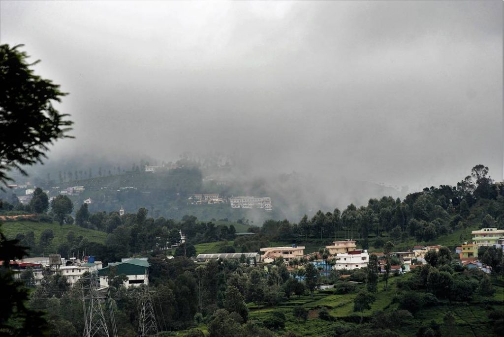 Munnar #nature_seekers #travelgram #naturelovers #natureshooters #nature_up_close #nature_hub #naturephotography #naturein_focus #natgeotravel #natgeoyourshot #thephotosociety #reimaginednature #clickstogallery…