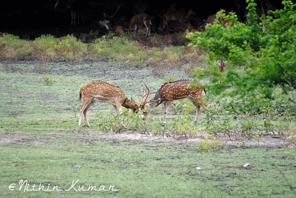 #nature_seekers #travelgram #naturelovers #natureshooters #nature_up_close #nature_hub #naturephotography #naturein_focus #natgeotravel #natgeoyourshot #thephotosociety #reimaginednature #clickstogallery #travelblogger&hellip;