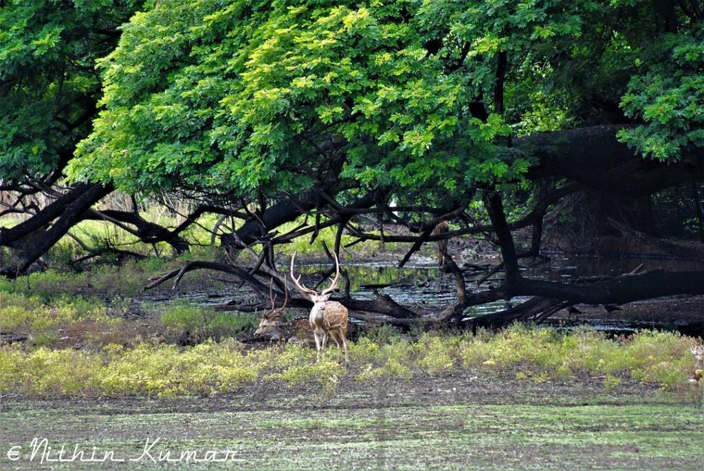 #nature_seekers #travelgram #naturelovers #natureshooters #nature_up_close #nature_hub #naturephotography #naturein_focus #natgeotravel #natgeoyourshot #thephotosociety #reimaginednature #clickstogallery #travelblogger…
