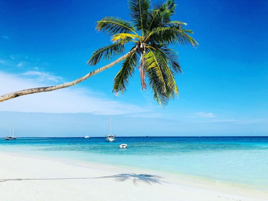Do you like palm trees? #meeruisland #meeru #maldivesresorts #instatraveller #instatravel #traveladdict #travelgirl #throughtheworld #travelwithme…