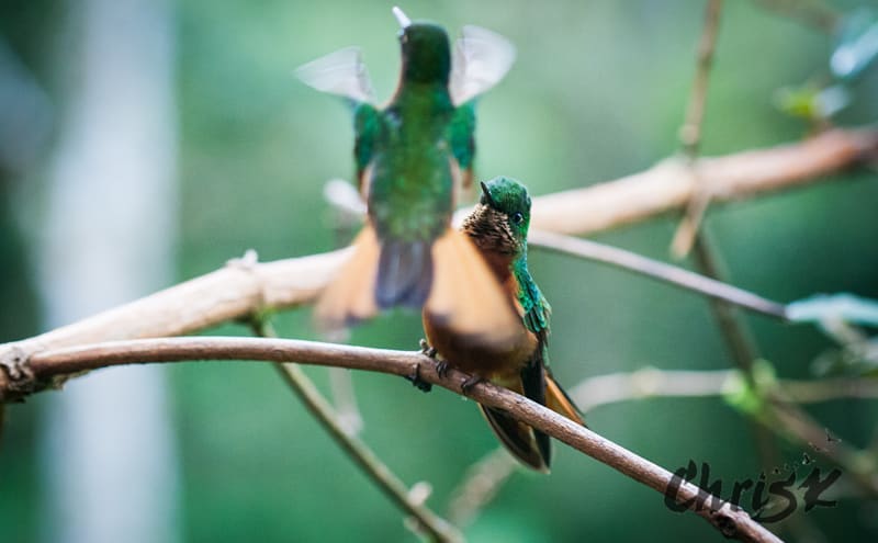 I’m back!! Ecuador was out of this world! The whole time I couldn’t shake&hellip;