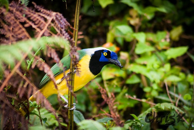 Ok here’s one for those of you who are less than thrilled about all&hellip;