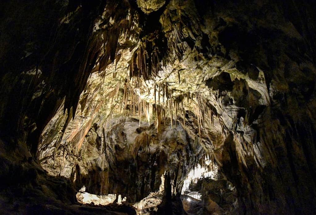 Indiana Jones scansati!!! – – – – #slovenia???????? #aboutatravel #adventuretime #photopassion #travelmood #visitslovenia #travelphotography&hellip;