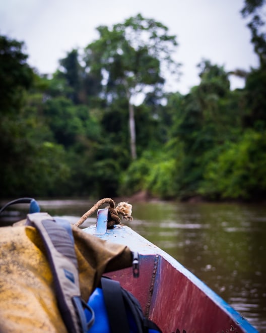 Back to Ecuador photos today (don’t worry there will be more puppies later) I&hellip;