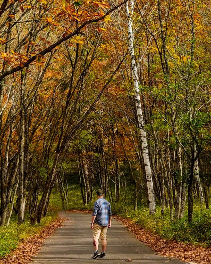 Although sometimes you may get lost, but I believe there is always a path&hellip;