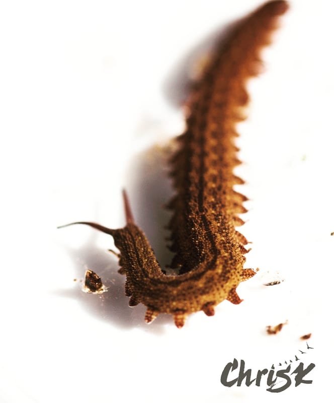 One midterm down, 2 to go! The class was wildlife management which I’ve been&hellip;