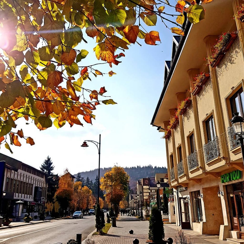 #bnesimppl #flowers #flower #socialsteeze #petal #petals #nature #beautiful #love #pretty #plants #blossom #sopretty #spring&hellip;