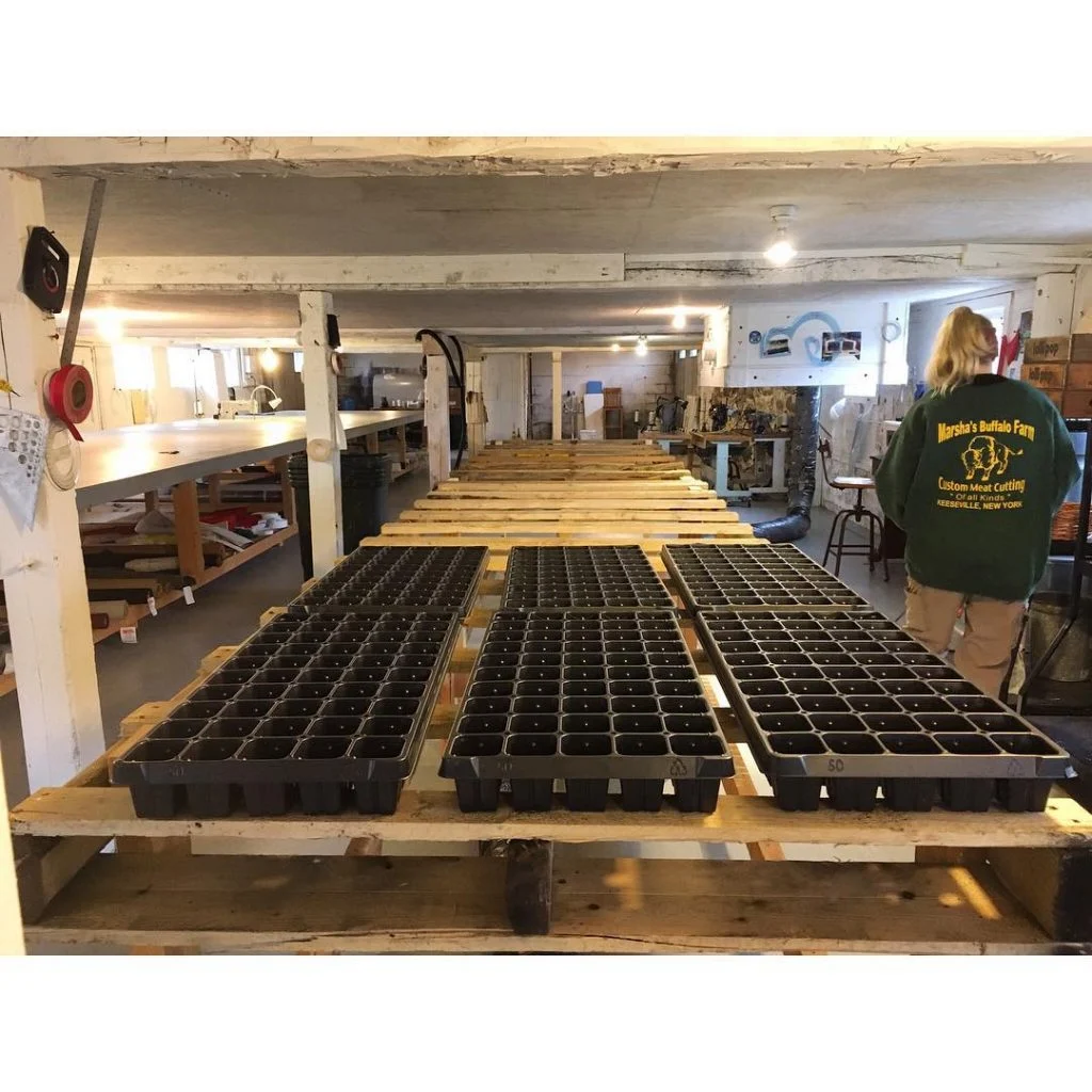 Inside the barn we are ready to start experimenting with growing micro greens for&hellip;