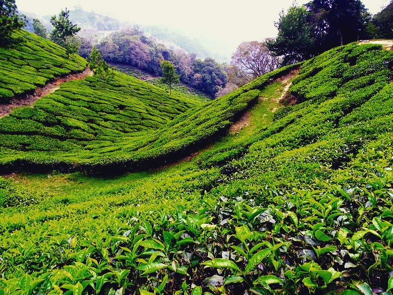 Tras disfrutar de las vistas de aquel gran lago seguimos subiendo hasta dar con&hellip;