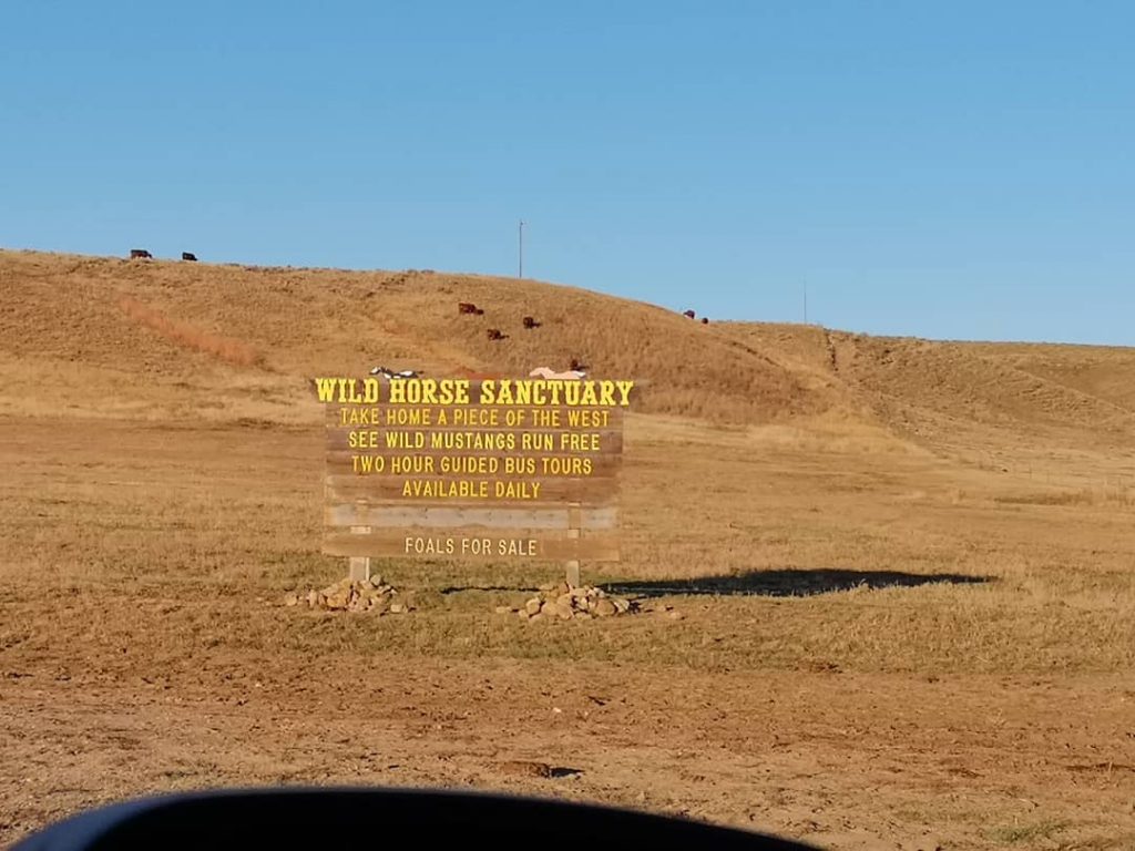 #havefamalidays #greatamericanwest #betravelusa @greatamwest @ @betravel_viaggi @wildhorsesanctuary