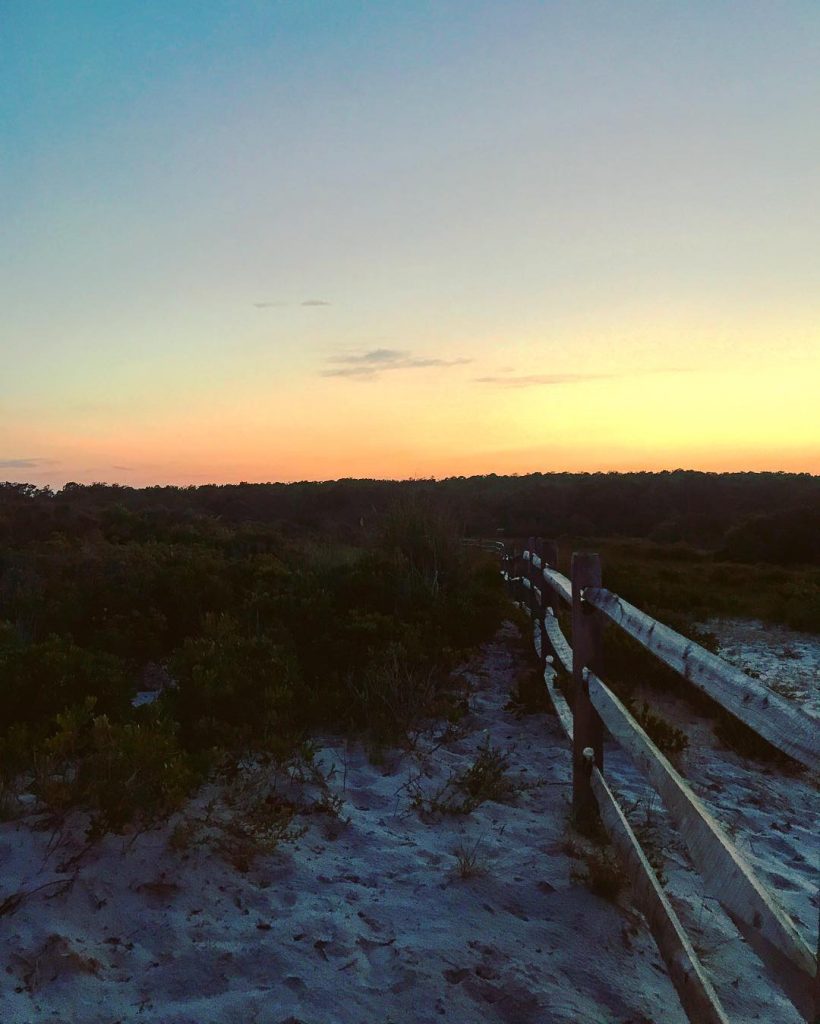 Watching the sunset with the ponies at Assateague Island National Seashore! Read about our&hellip;