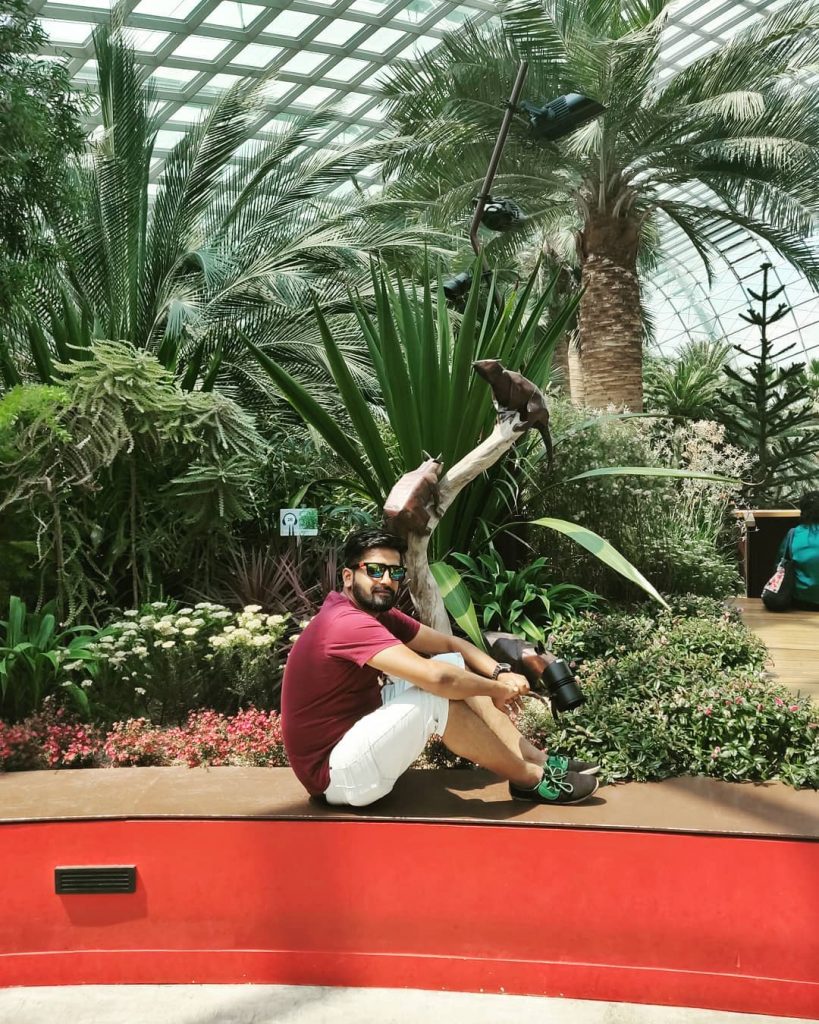 #gardensbythebaysingapore #gardensbythebay #singaporetrip #singaporecity #singapore???????? #singaporediaries️ #singaporetraveldiaries #singapore_insta #travelislife #travelingyogi #traveldiaries #traveler #travellife #travelbook&hellip;