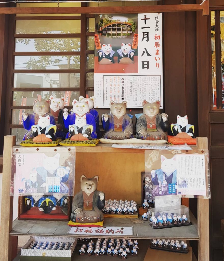 #Cats have known, since time immemorial, that they should be worshipped by us humans.&hellip;