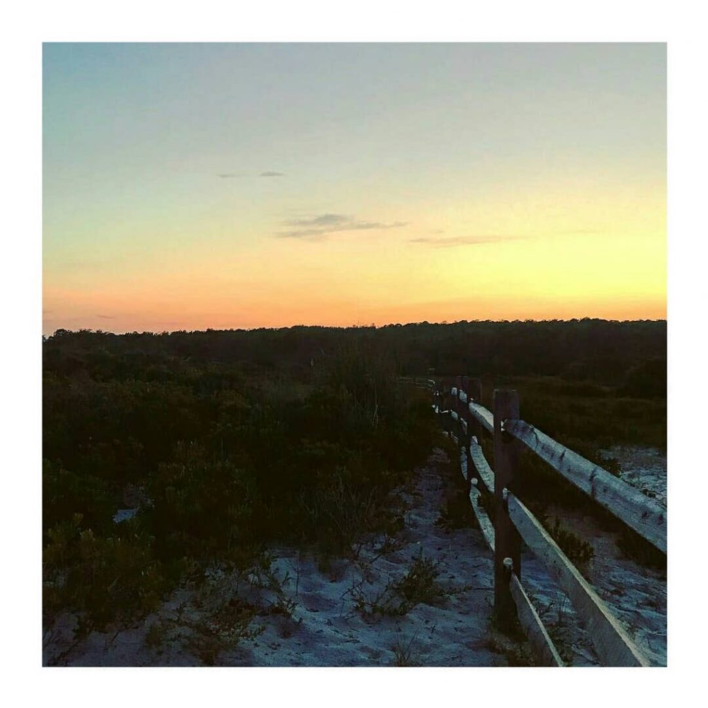 Shot by @worldtravelersunion – Watching the sunset with the ponies at Assateague Island National&hellip;