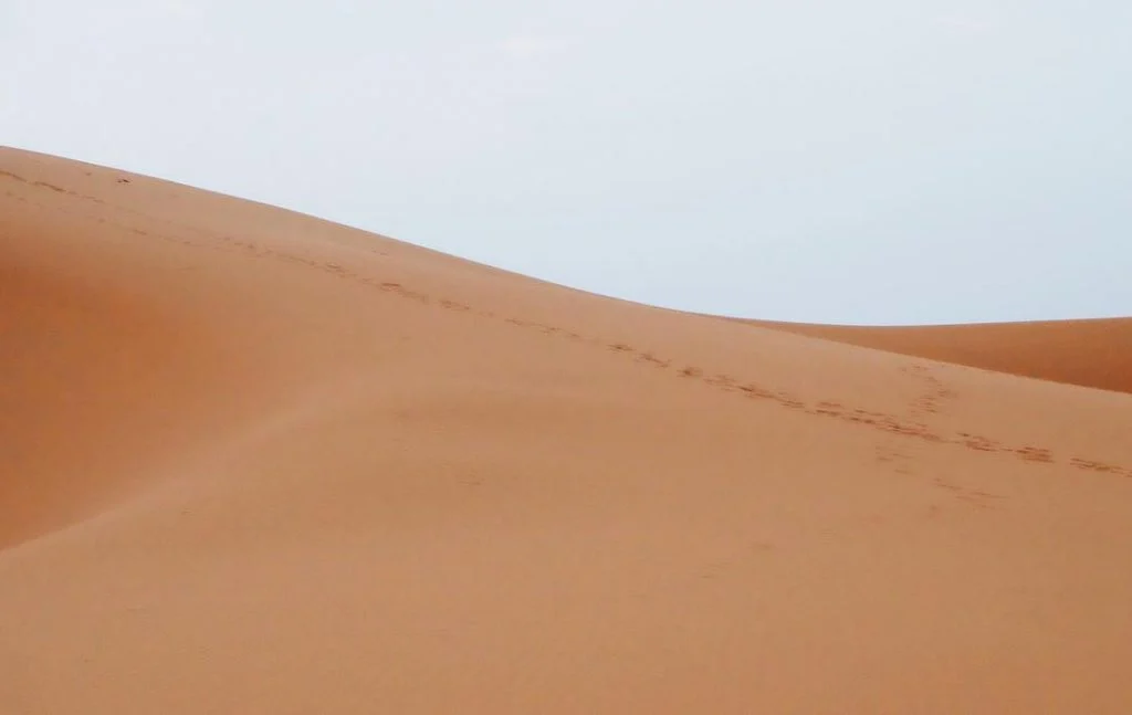 26•07•18 Sahara Desert , Merzouga , Morocco เส้นทางไปชมพระอาทิตย์