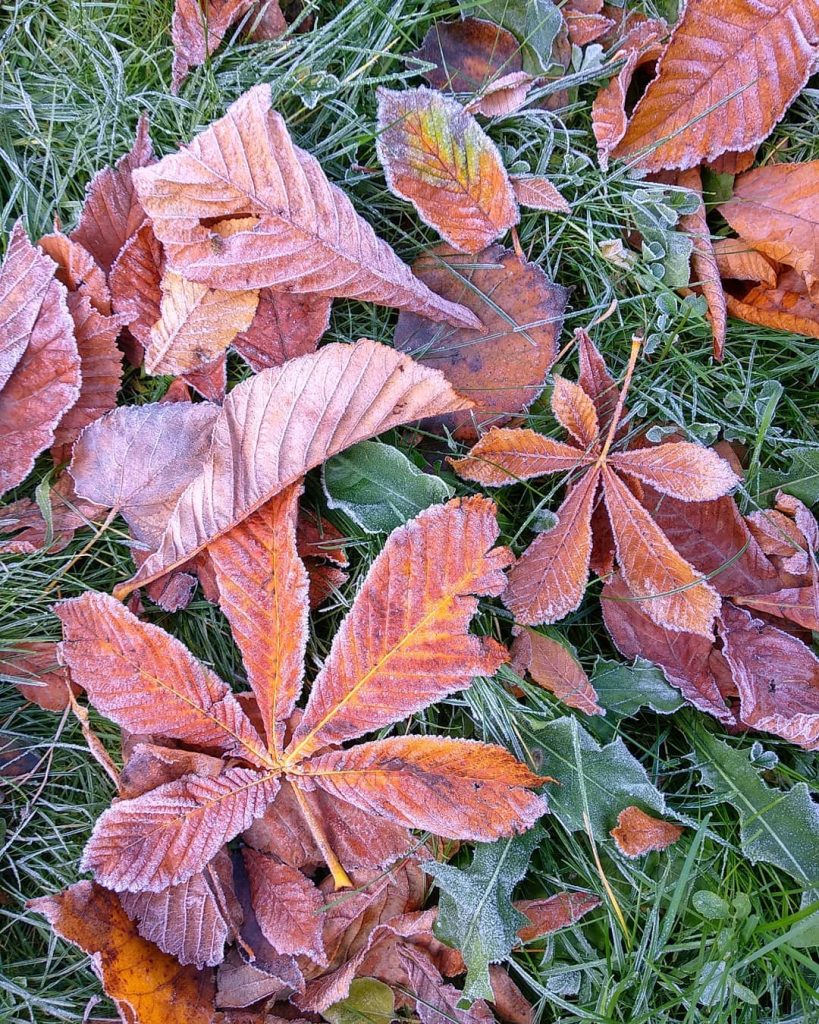 November 1 is World Vegan Day. Congratulations to all who consider themselves as such.&hellip;