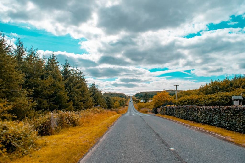 If I were a bird, I would just fly around the globe looking for&hellip;