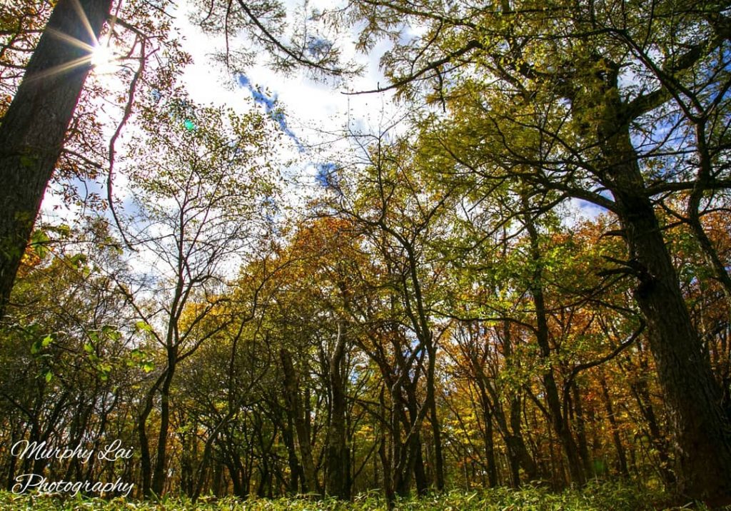 Spend a day in hiking is much worth than sleep at