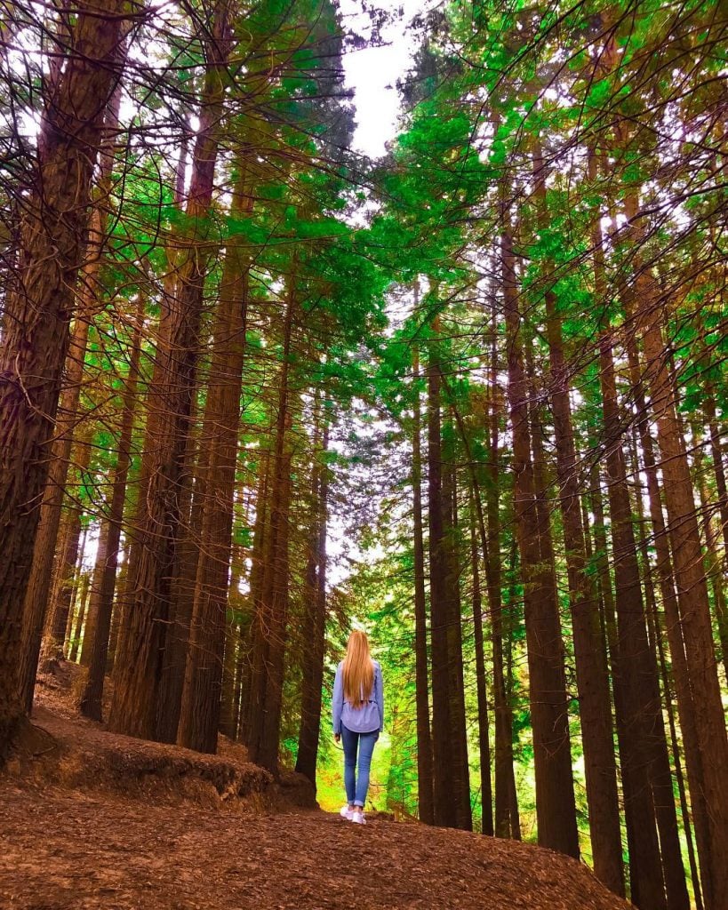 A veces merece la pena desviarse del camino y adentrarse en el bosque para…