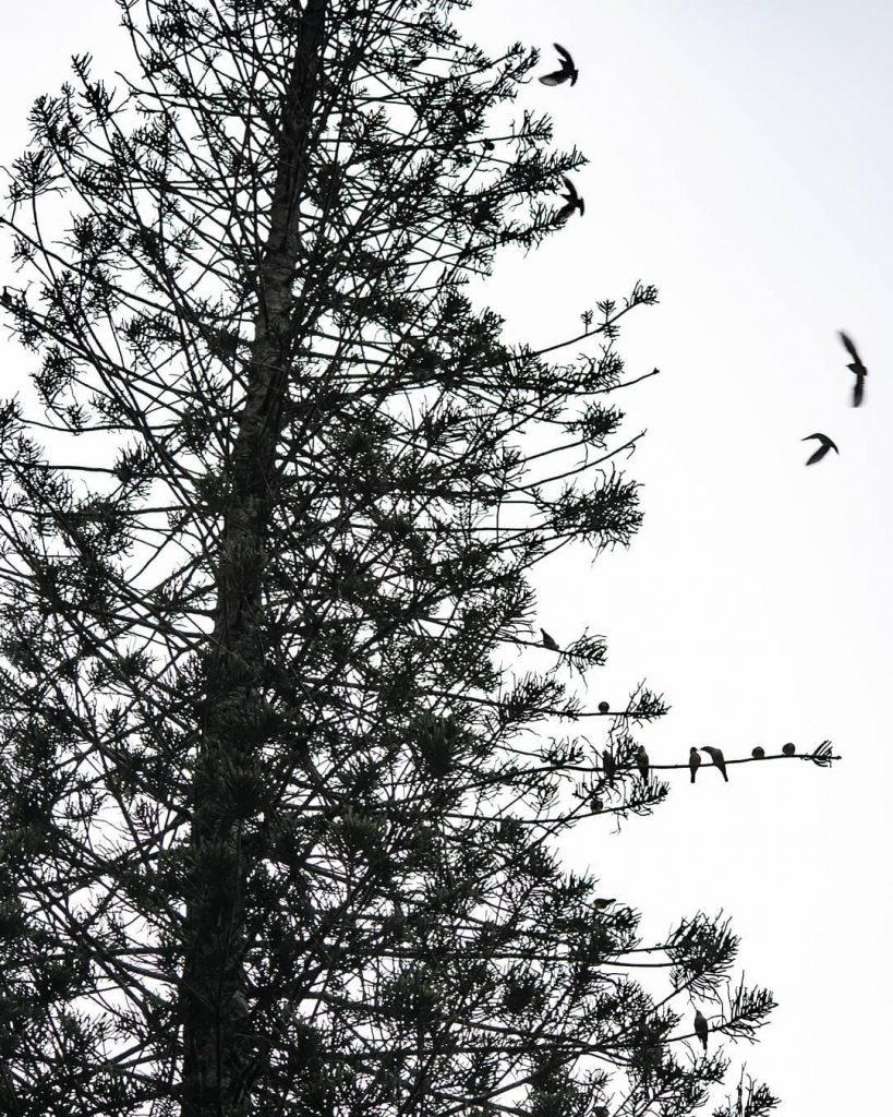 #nature_seekers #travelgram #naturelovers #natureshooters #nature_up_close #nature_hub #naturephotography #naturein_focus #natgeotravel #natgeoyourshot #thephotosociety #reimaginednature #clickstogallery #travelblogger&hellip;