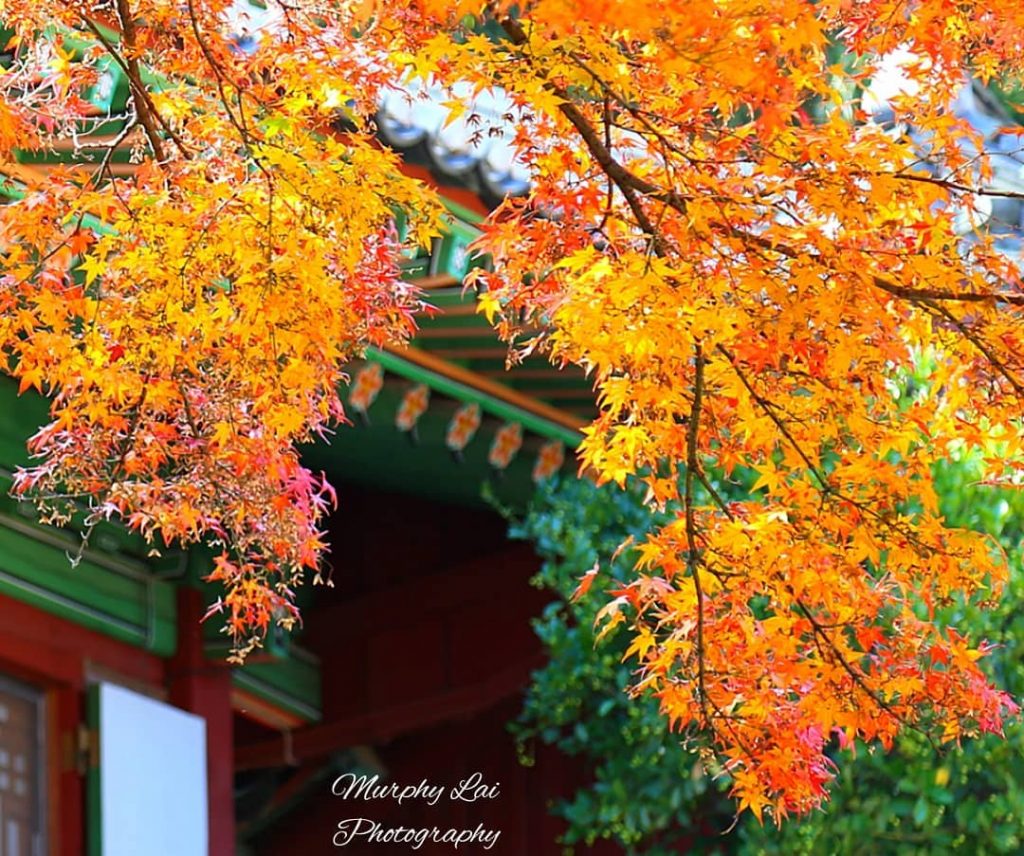 It is always difficult to get the recognition from everyone in your life. Just&hellip;