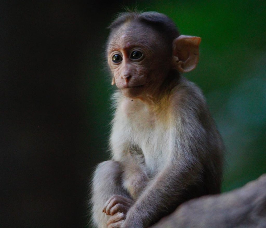 Though This Was A Random Days After I realised That Half Puc Is In&hellip;