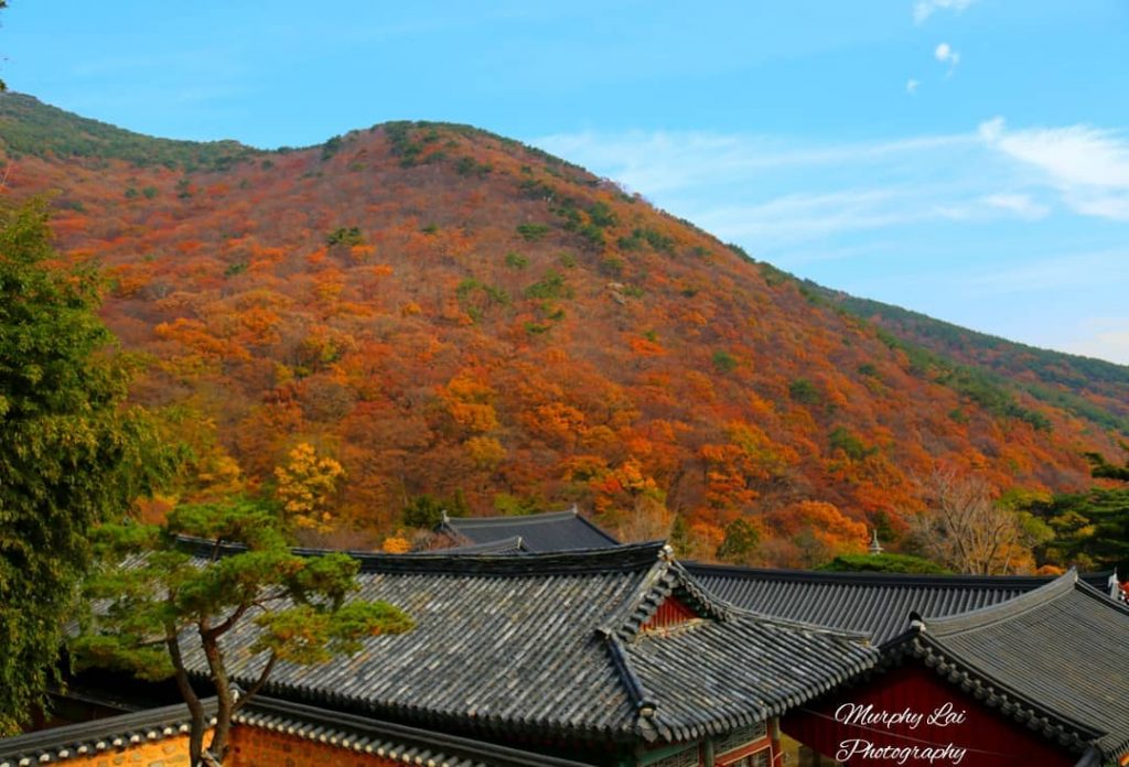 Here is one of the most famous place to visit at Busan. The scenery&hellip;