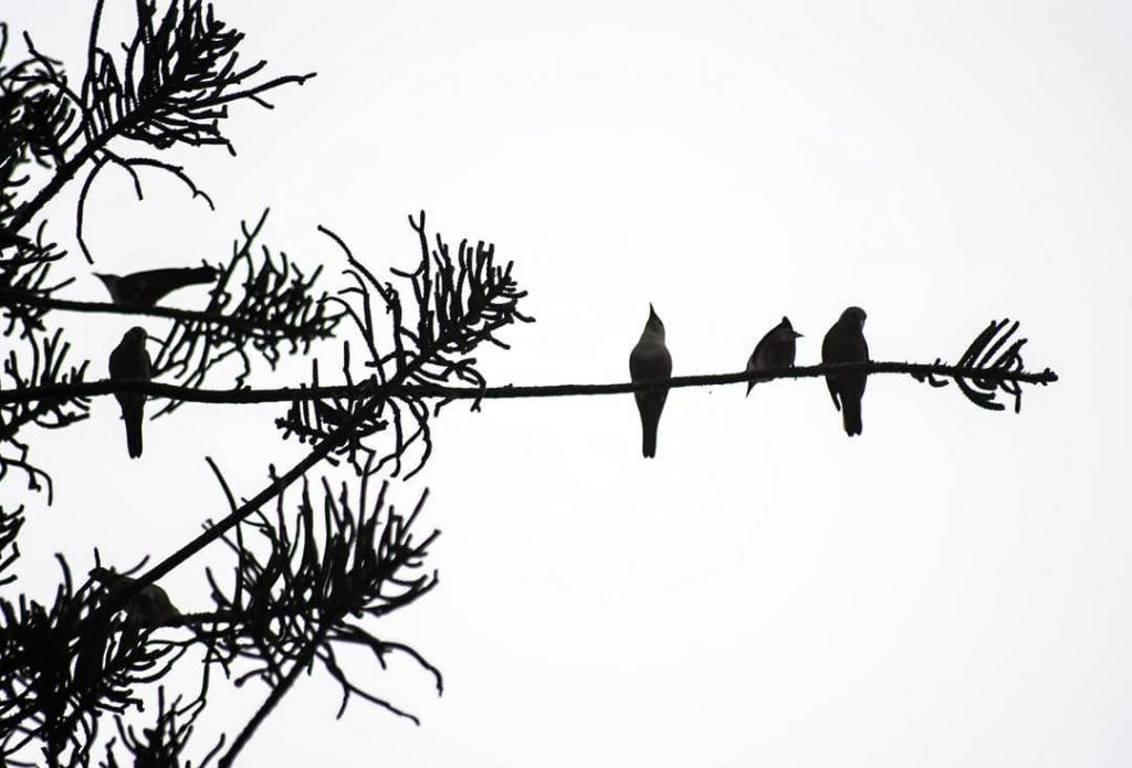 #nature_seekers #travelgram #naturelovers #natureshooters #nature_up_close #nature_hub #naturephotography #naturein_focus #natgeotravel #natgeoyourshot #thephotosociety #reimaginednature #clickstogallery #travelblogger&hellip;