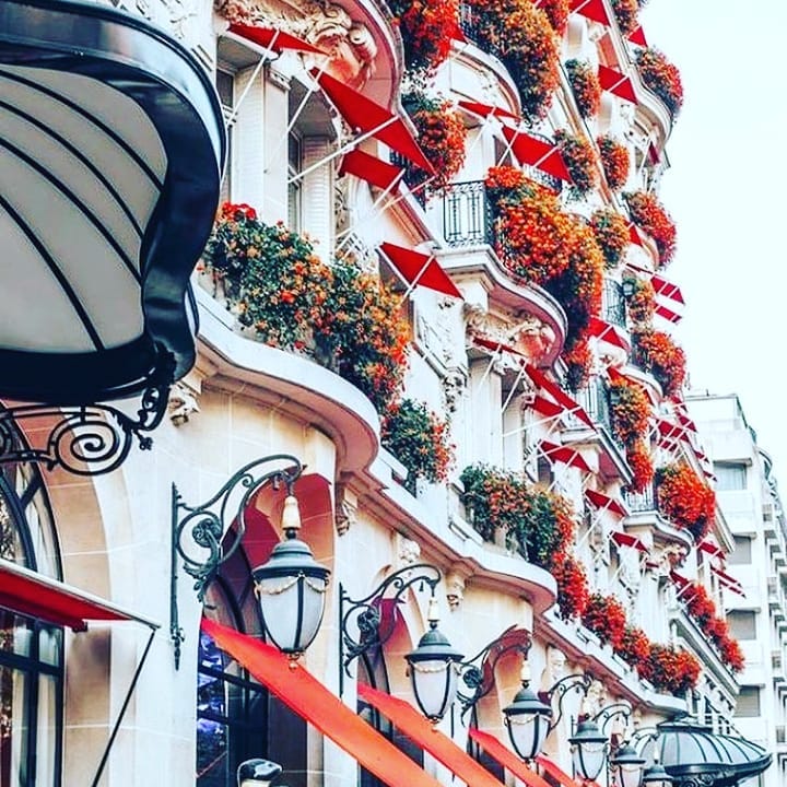 #hotel #besthotel #travelling #travelblogger #seetheword #flower #flowers #naturephotography #nature #photographer #photography #success #entrepreneur #becreative&hellip;