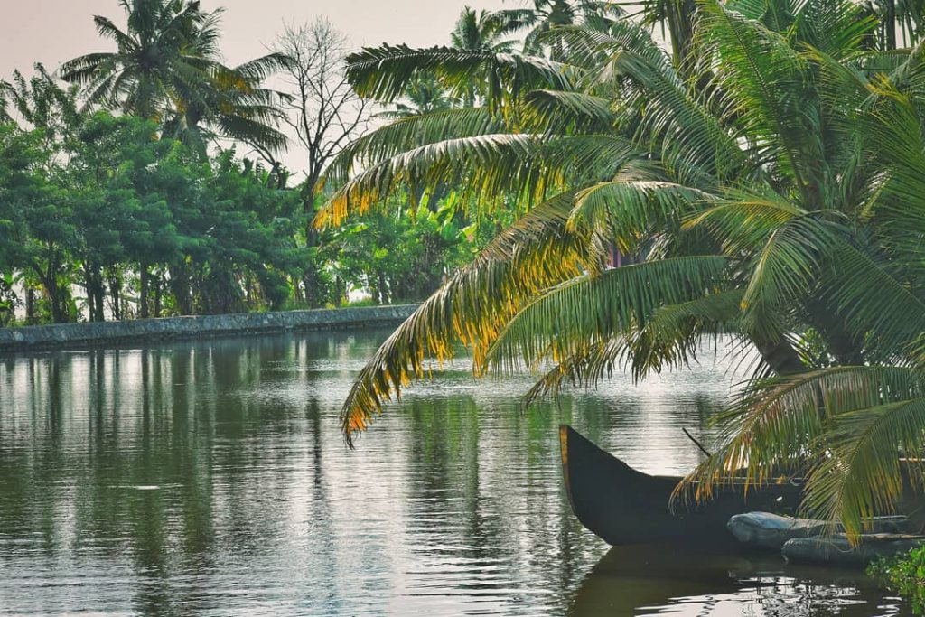 #kerala #alleppey #nikon #nikond3400 #yesindia #shutterbug #shutterbugs #shutterbugsindia #lenscaptureofficial #indianshutterbugs #indiaclicks #indiafeatures #travelindia #traveling&hellip;