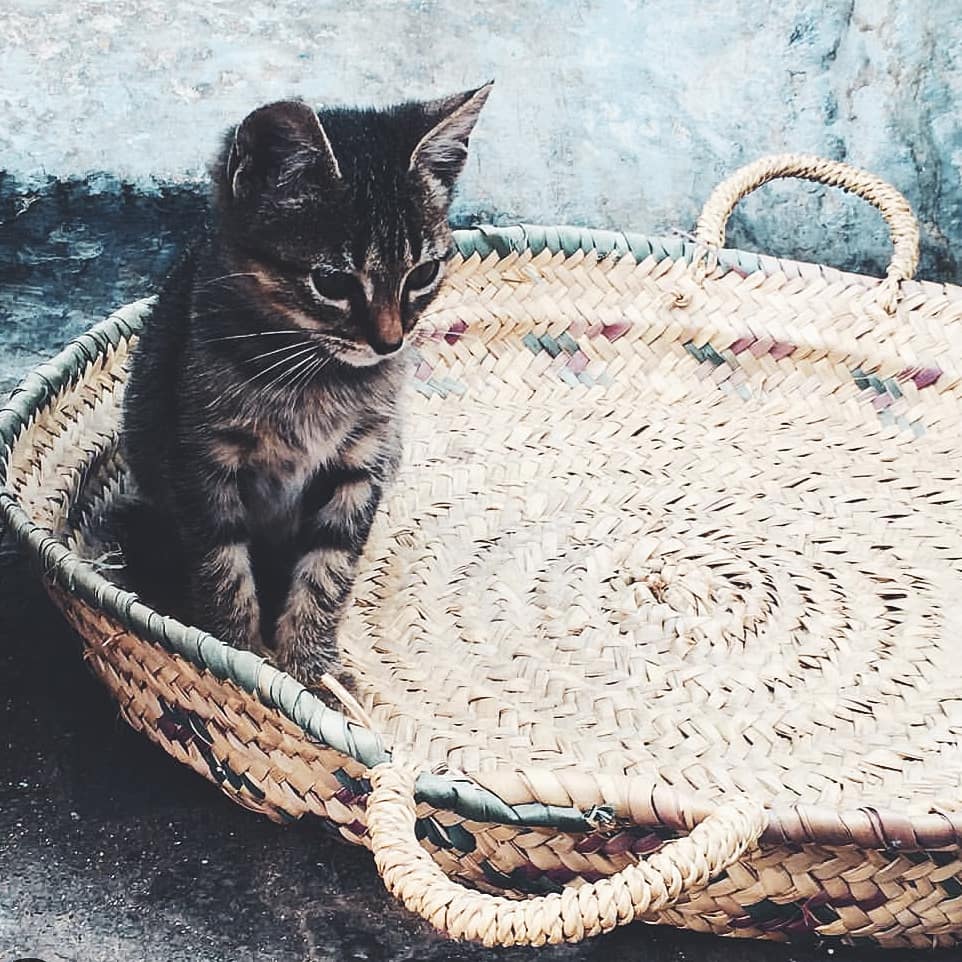 Chefchaouen, uno de mis lugares favoritos del mundo, @lunadesantiago creo que también se ha…